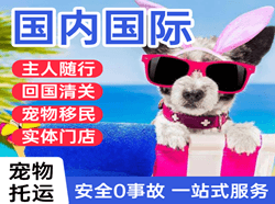 普宁航空托运国际宠物托运 【国